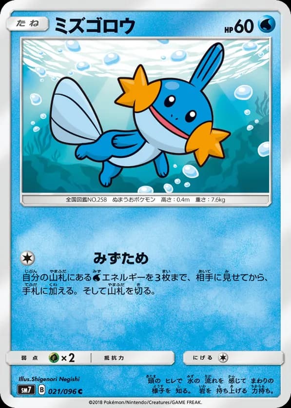Mudkip