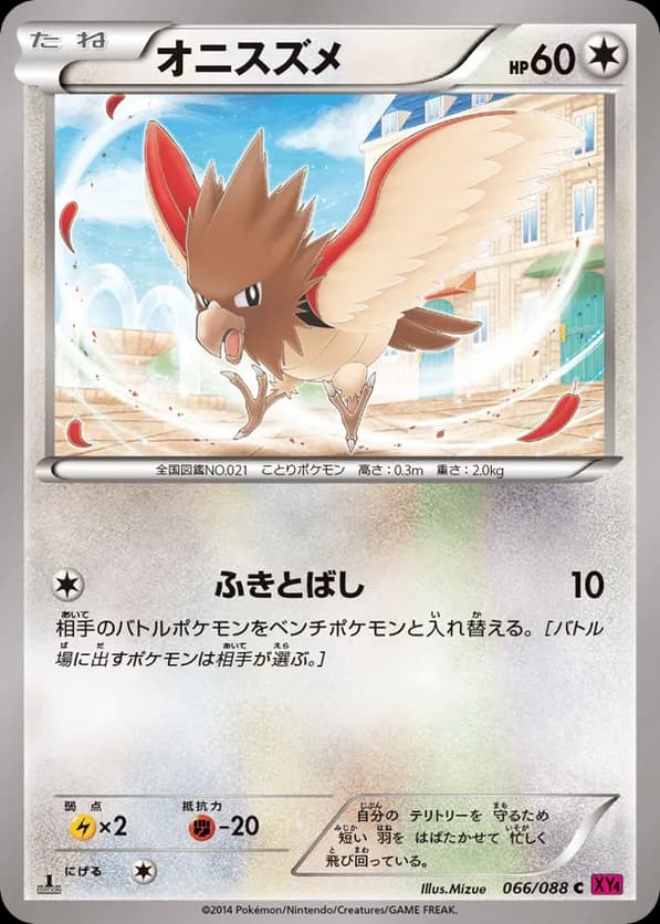Spearow