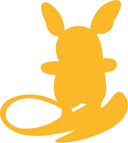 Sun & Moon Trainer Kit Alolan Raichu